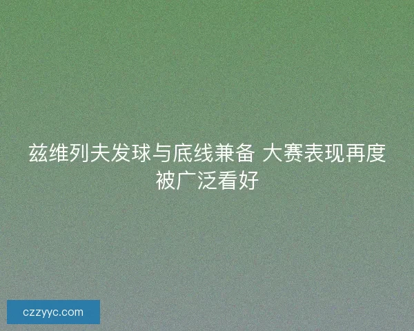 兹维列夫发球与底线兼备 大赛表现再度被广泛看好